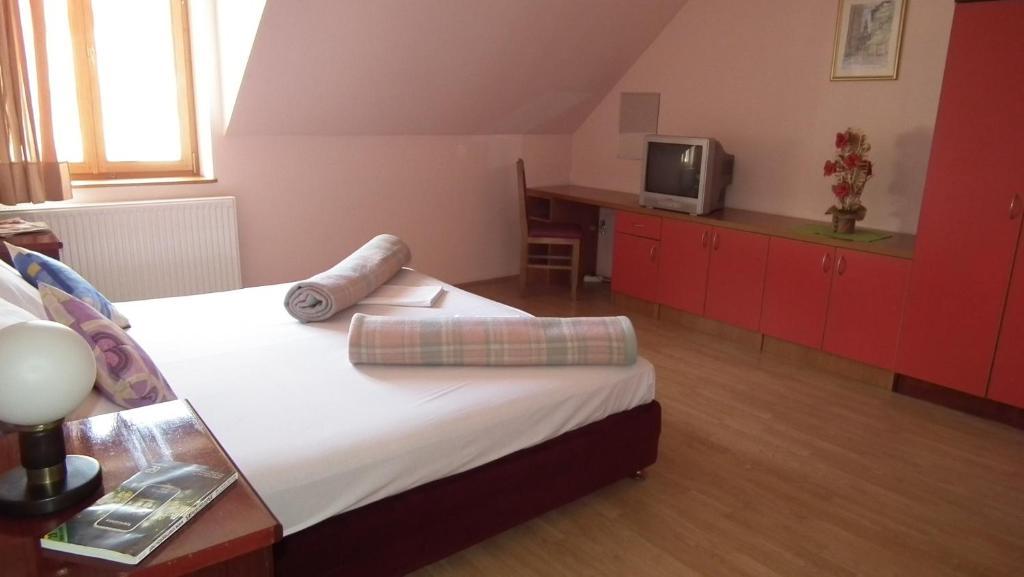Nasa Tvrdava Guest Accommodation Novi Sad Cameră foto