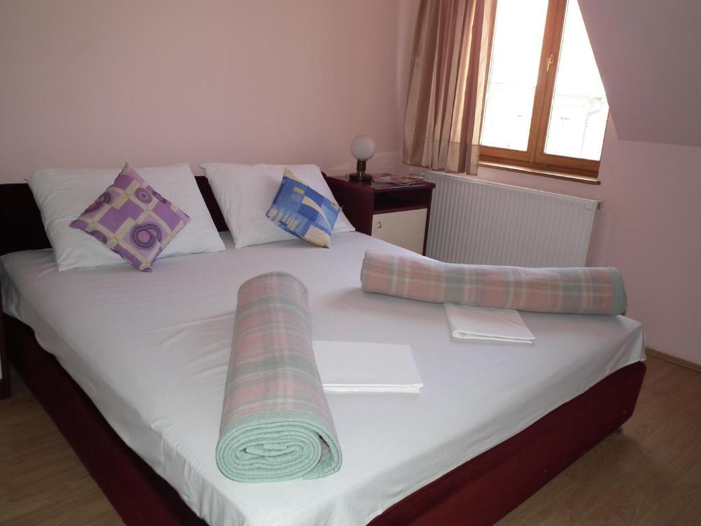 Nasa Tvrdava Guest Accommodation Novi Sad Cameră foto