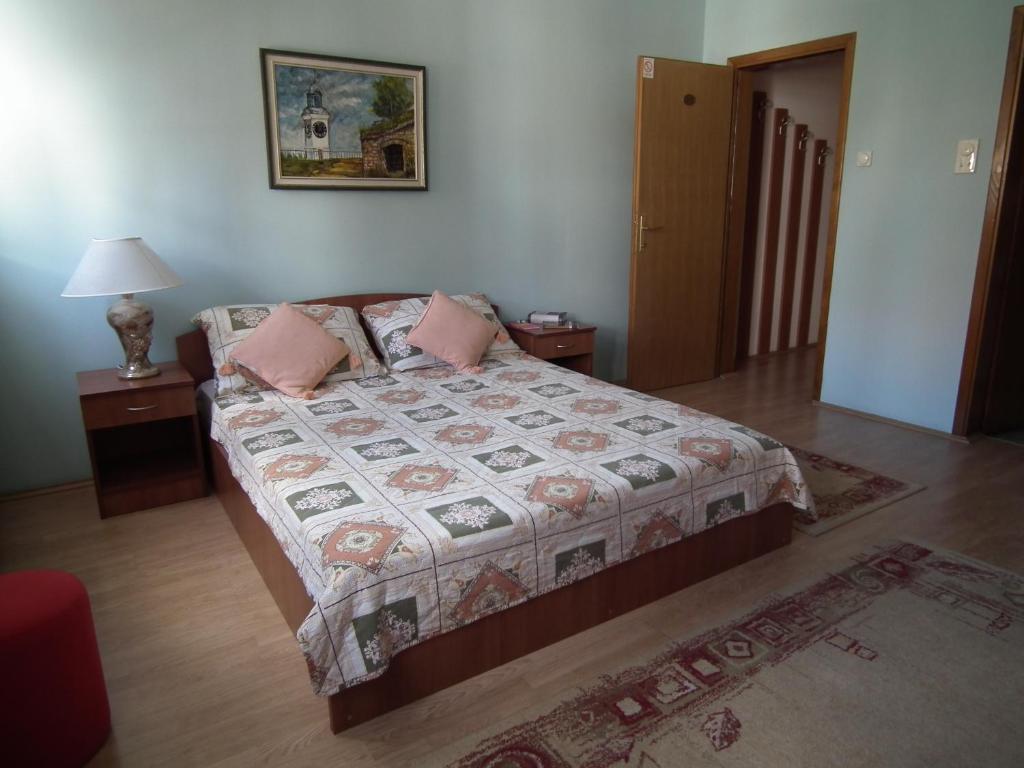 Nasa Tvrdava Guest Accommodation Novi Sad Cameră foto